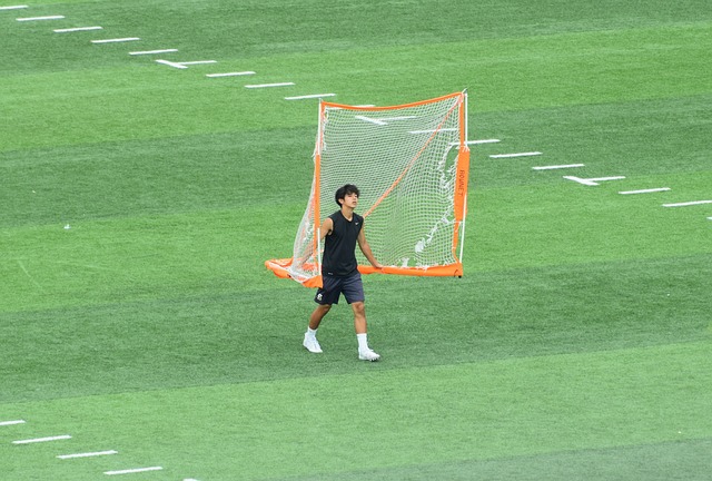 此举不仅提